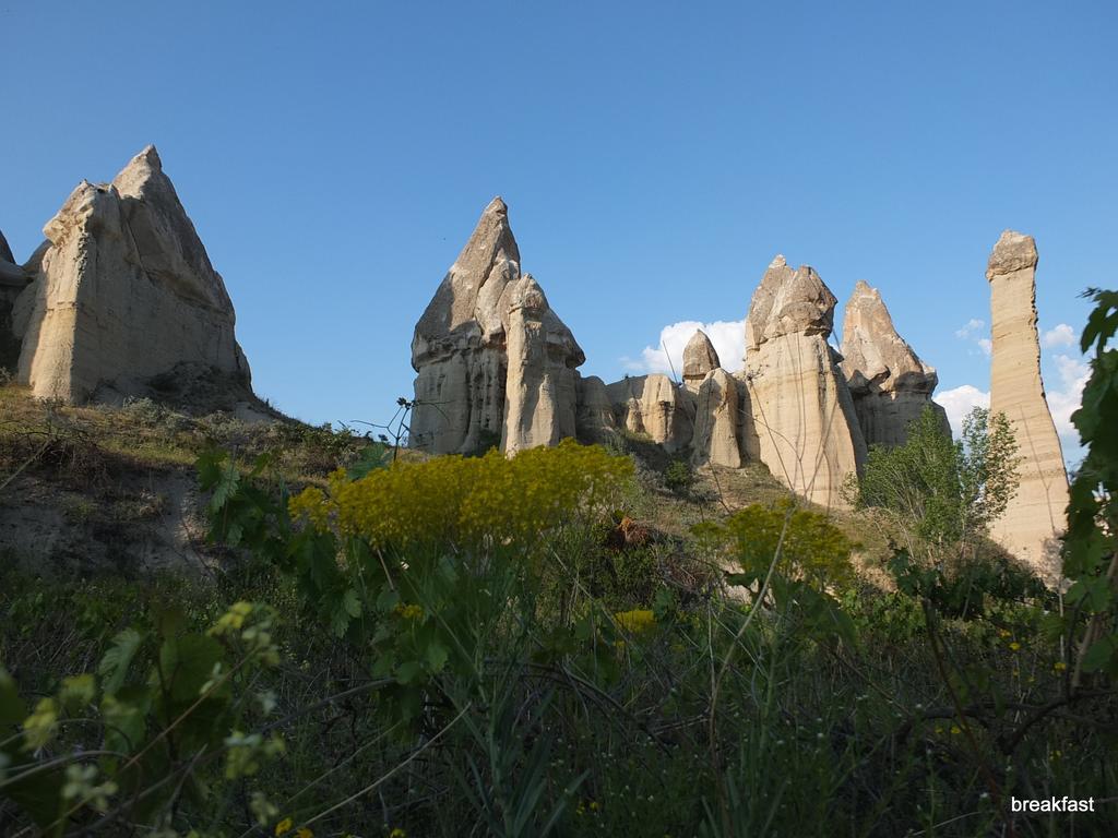 Anatolia Cave Hotel Pension Гьореме Екстериор снимка