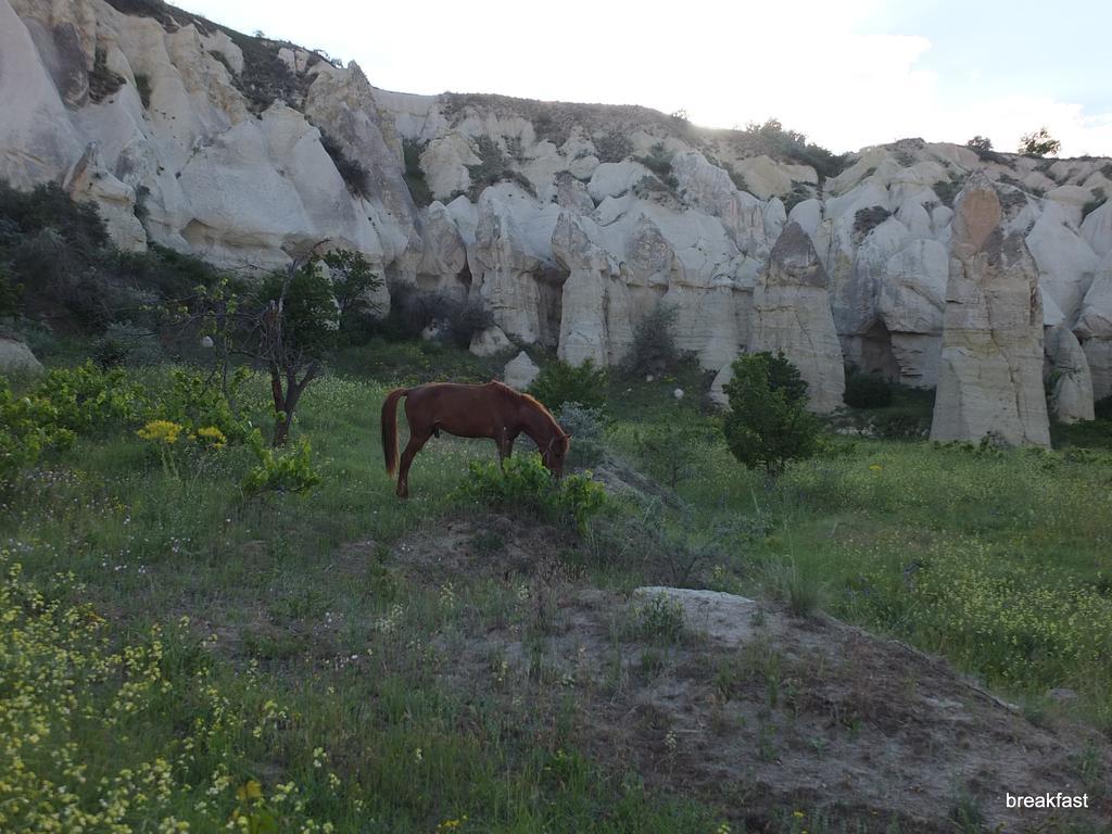 Anatolia Cave Hotel Pension Гьореме Екстериор снимка